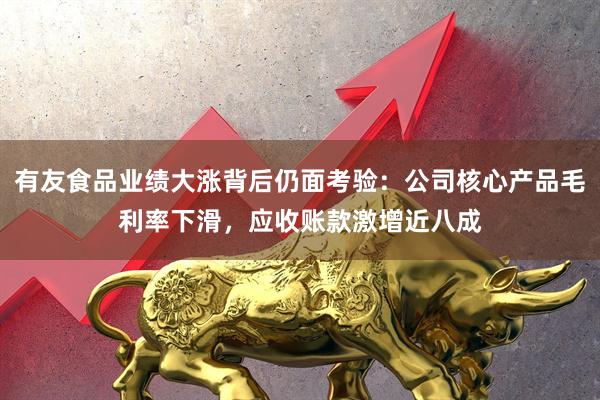 有友食品业绩大涨背后仍面考验：公司核心产品毛利率下滑，应收账款激增近八成