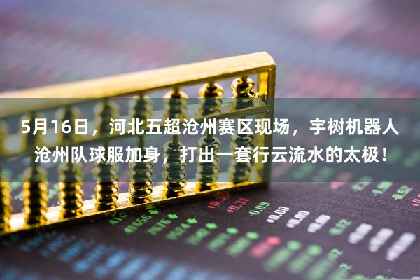 5月16日，河北五超沧州赛区现场，宇树机器人沧州队球服加身，打出一套行云流水的太极！