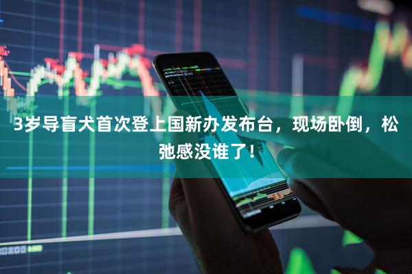 3岁导盲犬首次登上国新办发布台，现场卧倒，松弛感没谁了！