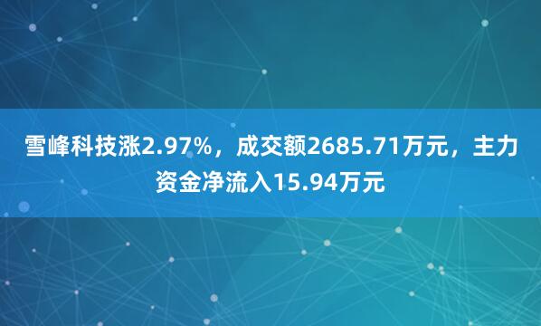 雪峰科技涨2.97%，成交额2685.71万元，主力资金净流入15.94万元